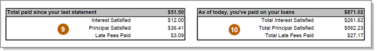 Debit Statement Screenshot